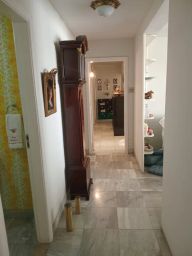 https://img.olx.com.br/thumbs256x256/25/254586025490431.jpg