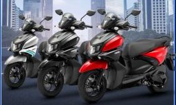 https://img.olx.com.br/thumbs256x256/25/254614422229868.jpg