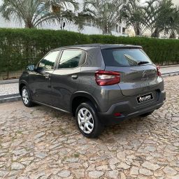 https://img.olx.com.br/thumbs256x256/25/254624428121764.jpg