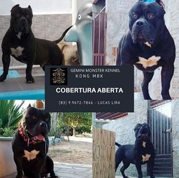 COBERTURA ABERTA, PROMOÇÃO DE FIM DE ANO