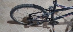 https://img.olx.com.br/thumbs256x256/25/255451666836139.jpg