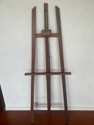 https://img.olx.com.br/thumbs256x256/25/255506618887404.jpg
