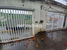 https://img.olx.com.br/thumbs256x256/25/255532037654070.jpg