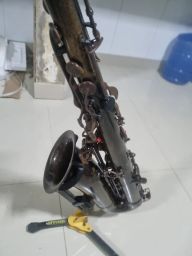 https://img.olx.com.br/thumbs256x256/25/255569044043594.jpg