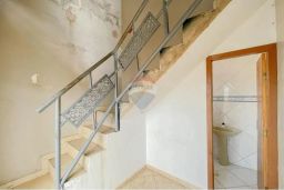 https://img.olx.com.br/thumbs256x256/25/255575040894422.jpg