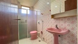 https://img.olx.com.br/thumbs256x256/25/255579163935749.jpg