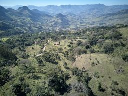https://img.olx.com.br/thumbs256x256/25/255634079717444.jpg