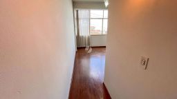 https://img.olx.com.br/thumbs256x256/25/256555408213820.jpg