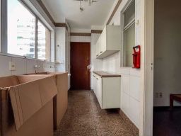 https://img.olx.com.br/thumbs256x256/25/256568168547894.jpg