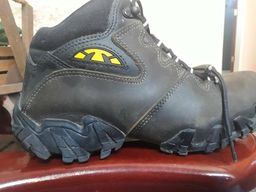 bota bull terrier sparks