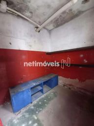 https://img.olx.com.br/thumbs256x256/25/257546393400571.jpg