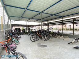 https://img.olx.com.br/thumbs256x256/25/257550047578430.jpg