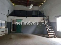 https://img.olx.com.br/thumbs256x256/25/257582390898777.jpg