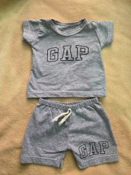 https://img.olx.com.br/thumbs256x256/25/257644374436451.jpg