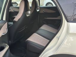 https://img.olx.com.br/thumbs256x256/25/257652785503304.jpg