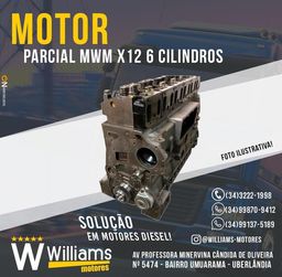Título do anúncio: Motor parcial MWM X12