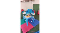 https://img.olx.com.br/thumbs256x256/25/258538525302757.jpg