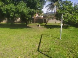 https://img.olx.com.br/thumbs256x256/25/258549289969791.jpg