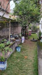 https://img.olx.com.br/thumbs256x256/25/258553760210450.jpg