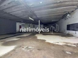 https://img.olx.com.br/thumbs256x256/25/258570516677880.jpg