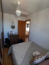https://img.olx.com.br/thumbs256x256/25/258587766628567.jpg