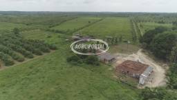 Título do anúncio: Fazenda no Pará - Irituia - 210 ha (43 alq)