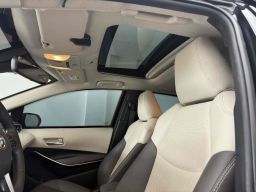 https://img.olx.com.br/thumbs256x256/25/259555162975116.jpg