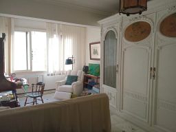https://img.olx.com.br/thumbs256x256/25/259571024427113.jpg