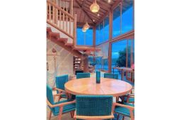https://img.olx.com.br/thumbs256x256/25/259586517447365.jpg