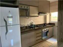 https://img.olx.com.br/thumbs256x256/26/260525765285546.jpg
