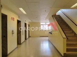 https://img.olx.com.br/thumbs256x256/26/260525767437237.jpg