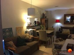 https://img.olx.com.br/thumbs256x256/26/260554769183521.jpg