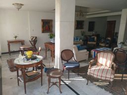 https://img.olx.com.br/thumbs256x256/26/260587502278027.jpg