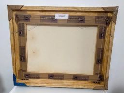 https://img.olx.com.br/thumbs256x256/26/261425445472451.jpg