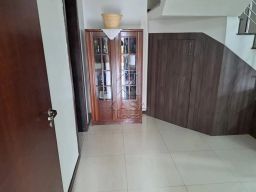 https://img.olx.com.br/thumbs256x256/26/261534043788879.jpg