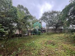 https://img.olx.com.br/thumbs256x256/26/261559755008216.jpg