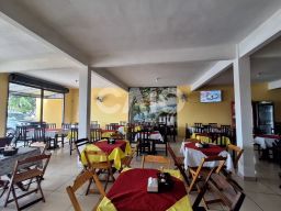 https://img.olx.com.br/thumbs256x256/26/262502864694594.jpg