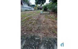 https://img.olx.com.br/thumbs256x256/26/262519520806136.jpg