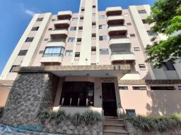 https://img.olx.com.br/thumbs256x256/26/262526640115318.jpg