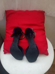 https://img.olx.com.br/thumbs256x256/26/262545763325236.jpg