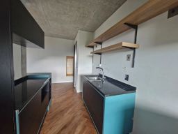 https://img.olx.com.br/thumbs256x256/26/262552289878416.jpg