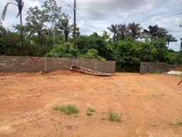 https://img.olx.com.br/thumbs256x256/26/262591702230624.jpg