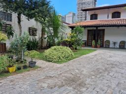 https://img.olx.com.br/thumbs256x256/26/262679565081331.jpg