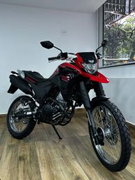 https://img.olx.com.br/thumbs256x256/26/263408212548947.jpg
