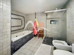 https://img.olx.com.br/thumbs256x256/26/263481355750950.jpg