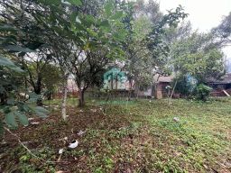 https://img.olx.com.br/thumbs256x256/26/263505399088007.jpg