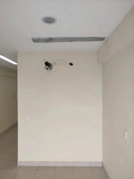 https://img.olx.com.br/thumbs256x256/26/263518756789390.jpg