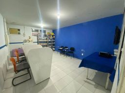 https://img.olx.com.br/thumbs256x256/26/263545402018505.jpg