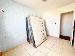 https://img.olx.com.br/thumbs256x256/26/264554407624734.jpg