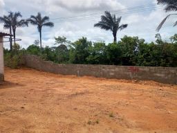 https://img.olx.com.br/thumbs256x256/26/264564221913512.jpg